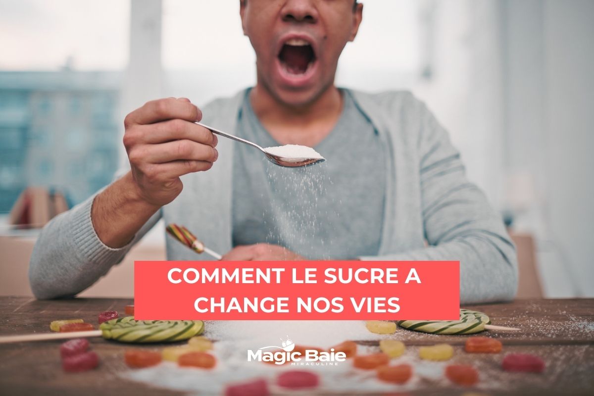 COMMENT LE SUCRE A  CHANGE NOS VIES